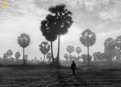 Farmer in the field of palm trees in An Giang, Vietnam prints