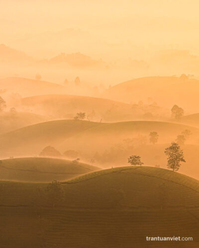 Landscape of Long Coc tea hills, Vietnam photo print
