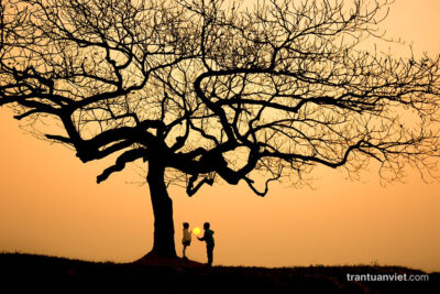 Silhouette of children play under the leafless tree print sale