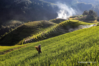 H’Mong farmer, Mu Cang Chai, Vietnam photo print sale