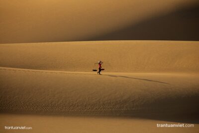 On the sand dune