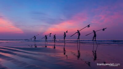 Vietnamese stilt fishermen out to beach